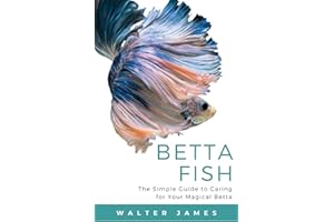 Betta Fish: The Simple Guide to Caring for Your Magical Betta