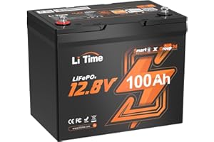 LITIME Batteria litio 12V 100Ah Gruppo 24 con Bluetooth, 12V 100Ah LiFePO4 Batteria con Protezione a Bassa Temperatura e 4000+Cicli per Caravan, Barche, Storaggio Energetico Domestico, Campeggio