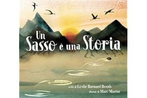 Un sasso è una storia. Ediz. a colori