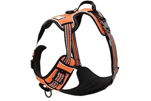 TRUE LOVE Réfléchissant Harnais De Chien Réglable Décourager Tirer Pet Gilet Durable En Nylon De Voiture TLH5651 (Orange, M)