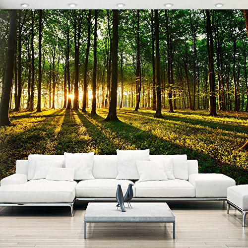 Vlies Fototapete 300x210 cm - 3 Farben zur Auswahl - Top Tapete Wandbilder XXL Wandbild Bild Fototapeten Tapeten Wandtapete Wald Natur Landschaft Bäume c-B-0127-a-b