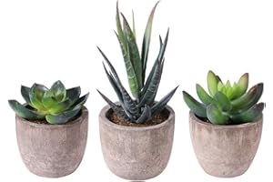 OUNONA 3er Set Mini Künstliche Sukkulenten Dekorative Kunstpflanze Bonsai mit Topf Künstliche Sukkulenten mit Blumentöpfen - für Hochzeit/Büro/Zuhause/Wohnung/Wohnzimmer/Badezimmer Dekoration
