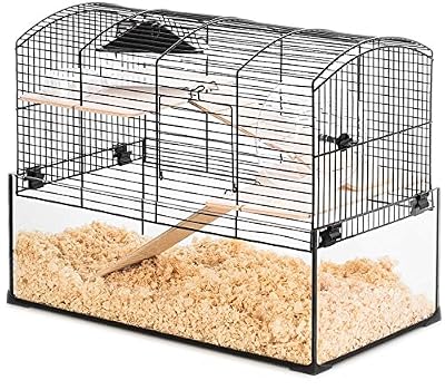 Zolux Cage Neo Panas Petit Rongeur L 52 X P 28.5 X H 40 Cm Noire