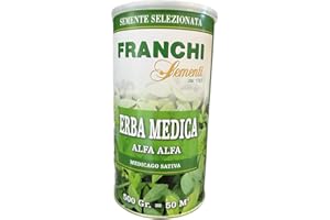 Franchi Sementi semi di Erba Medica (alfa alfa) confezione in barattolo da 500 grammi