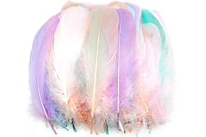 TYEQWT 400 Pcs Feathers for Crafts, Ideal for Wedding Ornament, Arts and Crafts for Kids, Feather Mask Making, DIY Feather Boa, Dream Catcher Decoration, Coloured Feathers