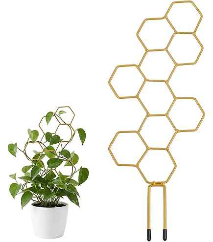 Pflanzensttze Rankhilfe Zimmerpflanze Pflanze Sttzpfhle Blumensttze  Zimmerpflanzen Rankhilfen Fr Kletterpflanzen Pflanzstab Fr Pflanzen  Rankstab Sttze Fr Kletterpflanzen : Amazon.de: Garten