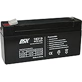 DSK 10319 - Versiegelte wiederaufladbare AGM-Bleibatterie 6V mit 3,2Ah. Ideal für Auto- und Elektromotorräder für Kinder, Mot