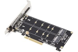 DILWE Dual M.2 NVMe SSD a PCIE Scheda Adattatore X8 M Key Convertitore Disco Rigido La Scheda di Espansione del Lettore Supporta la Funzione PCIE Split Modalità PCIE X4X4X4 o 4X4