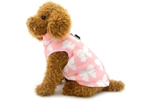 Zunea Manteau d'hiver pour Petit Chien Chiot Harnais Gilet Vêtements Imperméables Veste mâle Femelle Chien Chat Rembourré Manteau pour Chihuahua Rose XS