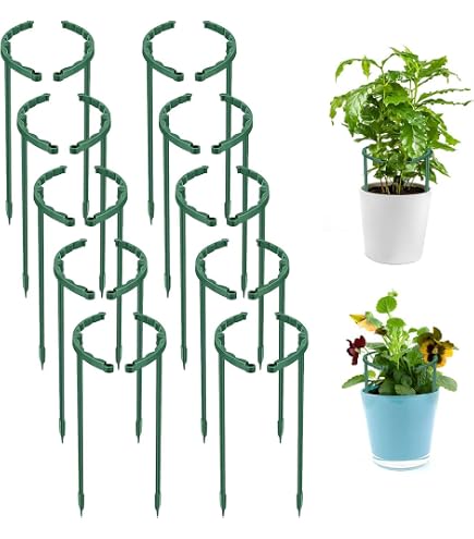 JOYSEUS 6 Pflanzenstützstäbe – Grün, Halbrund – 23,9 Cm Breit, 37,3 Cm Hoch – Für Garten & Topfpflanzen