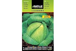 Semillas Batlle – Col Brunswick (de Valence)