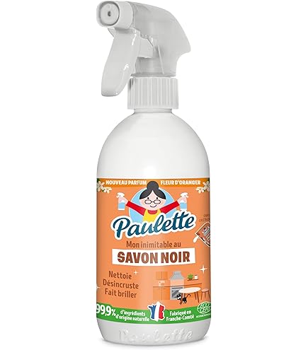 Pierre D'Argentil Multi-Usages 300g – Nettoie, Dégraisse, Détartre – Parfum Citron Basilic