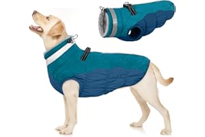 PUMYPOREITY Abrigo Invierno Cálido para Perros, Chaqueta Abrigadora de Invierno Chaleco a Prueba de Viento Chaqueta de Felpa Cálido Reflectante Chaleco de Algodón Suave para Cachorro(Verde Oscuro, L)