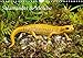 Salamander & Molche (Wandkalender 2014 DIN A4 quer): Tierkalender, Salamander, Kalender, Molche, Molch, Amphibien, Amphibienlalender (Monatskalender, 14 Seiten) by