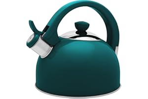 Galicja Bollitore in acciaio inox Molly – Caldaia a gas – Fornello a gas – Bollitore a pipa – Bollitore a fischio – Bollitore a induzione – 1,7 l verde