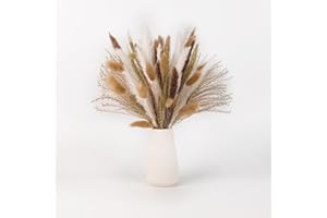 LYAOR Erba di Pampas Essiccata 50 Pezzi Decorazione Fiori Essiccati Naturale Reed Erba Coniglietto Bunny Tails Fiori Secchi Decorazione da Tavolo Boho per Tavolo Soggiorno Camera da Letto Artigianato Decor