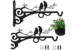 DragonX2 2 Pezzi Ganci Staffa Per Piante, Ganci Per Lanterna Appendere Alla Parete Pianta Giardino Appendiabiti Cesto Pensile Per Mangiatoie Uccelli Lanterne Decorazione Esterni
