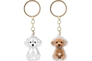 Sinbana 2pcs Dog Hair Collector Keychains, Acrylic Pet Fur Storage Memorial Keychain Cute Teddy Style Pet Hair Keyring Charm for Dogs & Cats (Transparent)