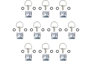 Oldbones Lot de 10 fixations de moto à dégagement rapide - Anneau en D de type C, 14 mm (argent mat)