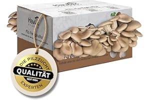Hawlik Pilzbrut Zestaw do hodowli grzybów ostrygowych Kultura grzybów do samodzielnej uprawy - Zestaw do uprawy boczniaków - Uprawa grzybów i zbiór Świeże boczniaki - Uprawa boczniaków (duży) Duży