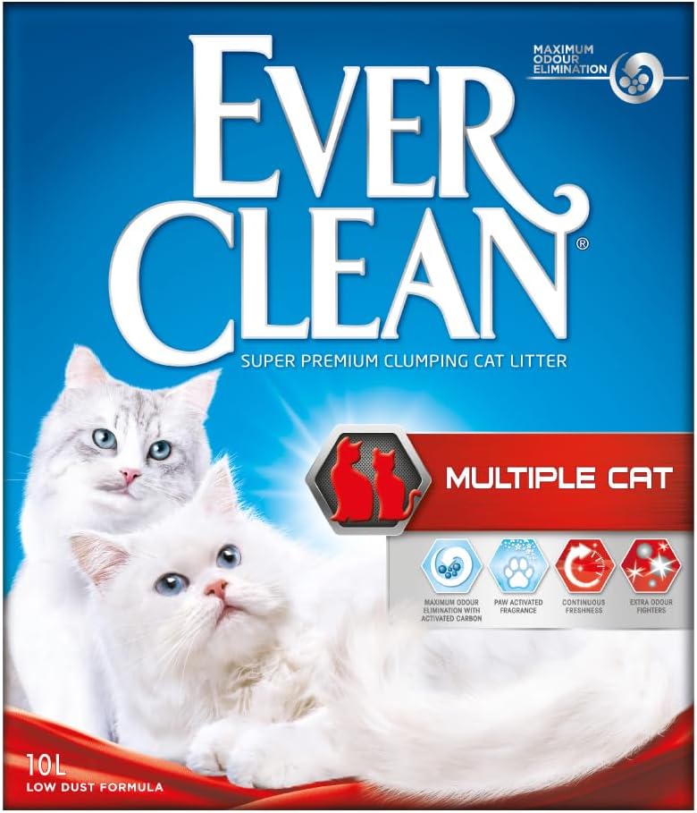 Retour d'Expérience & Bilan Utilisateur : Ever Clean Kattenbakvulling voor meerdere kat
