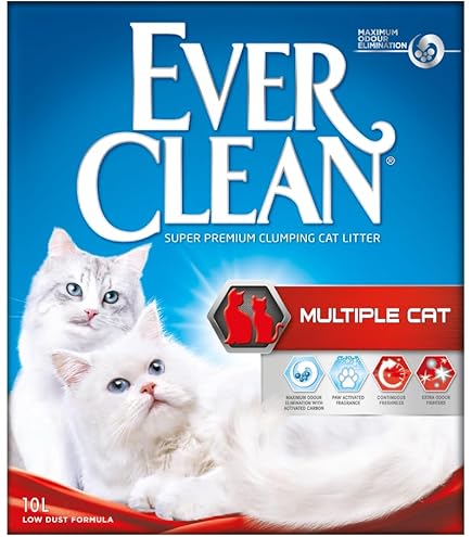 xl katzentoilette Moderna Katzentoilette mit Rand XL – Birdshop Christina Zoohandlung main image 1