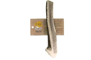 RF - Deer Bois de Cerf | Jouets à mâcher naturels pour Chiens | Mâcher des os pour Le Plaisir et Les Soins dentaires (XL, Soft)