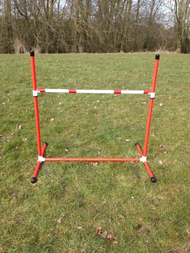 Red-Freestanding-dog-agility-jump-with-fully-adjustable-height-due-to-amazons-new-postage-policy-we-can-only-post-this-item-to-mainland-uk-England-Wales-and-Scotland-only