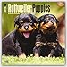 Rottweiler Puppies 2016 - Rottweiler-Welpen - 18-Monatskalender mit freier DogDays-App: Original BrownTrout-Kalender [Mehrsprachig] [Kalender] (Wall-Kalender) by 