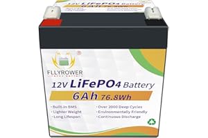 FLLYROWER 12V 6ah LiFePO4 batterie Batterie de classe a avec BMS Deep cycle plus de 10000 fois pour l'énergie solaire, moteur de remorquage, bateau, support série et parallèle