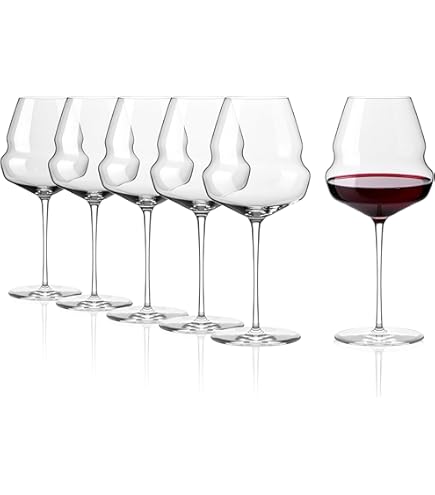 Stölzle Lausitz Rode wijnkelk Fino/rode wijnglas set van 6/hoogwaardige moderne rode wijnglazen/elegante lichte wijnglazen rode wijnglazen/wijnkelk glas