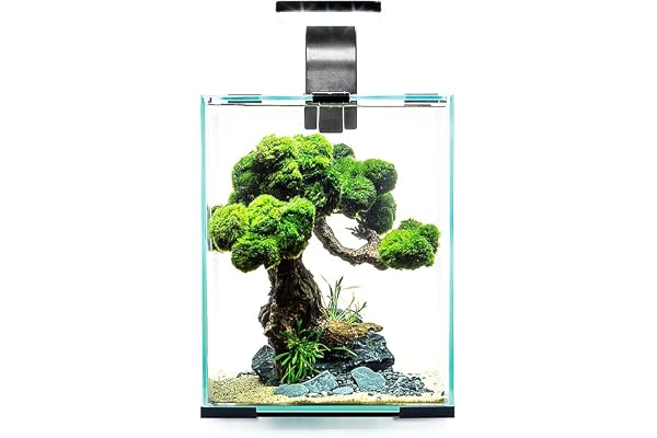 Aquarium SHRIMPSET Smart D&N 30 Noir 30L 29x29x35cm