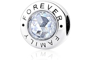 NINGAN Heart Charm 925 Sterling Silver, Fits to European Bracelets & Necklaces Birthday Gifts for Womens