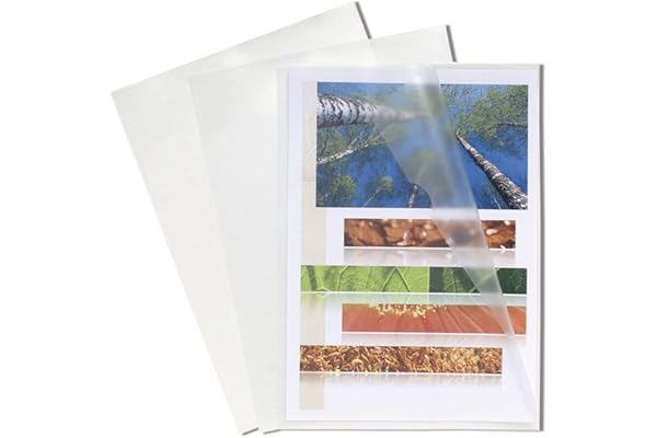 Exacompta - Réf. 58500E - Sachet de 100 pochettes coins - En polypropylène grainé - Epaisseur 12/100ème - Dimensions : 22x31cm - Format à classer A4 - Coloris cristal