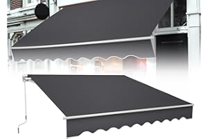 Froadp Toldos Exterior Terraza Manual, Toldo Retráctil con Brazo Articulado y Manivela, Estructura de Aluminio, Pergolas de Pared para Exterior Balcón Jardín Terraza, 300x250cmm, Gris Oscuro