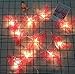 Produktbild UChic 2 Mt 10LED Batteriebetriebene Lichterketten Flamingo Shaped Lichter für Festival Hochzeit Festival Party Dekoration Geburtstag Party Foto Wand schlafzimmer