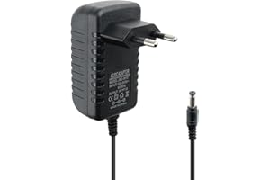 VIDACHARMY Cargador de Vehículo Eléctrico para Niños, Cargador de 6 V para Niños con Coche, Cargador para Juguetes, Cargador Universal de 6 V 1 A para Coches Eléctricos Infantiles, Motocicletas, SUV y ATV