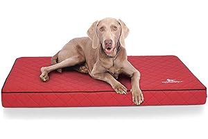 Knuffelwuff Orthopädische Hundematte Juna Hundebett aus laser gestepptem Kunstleder waschbar Hunde ortho orthopädisch memory 78x65cm Rot