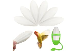 WDEC 6PCS Jouets pour Oiseaux(11-13cm), Jouets à Mâcher Oiseaux Perroquets, à Mâcher avec Support en métal et La Boîte, pour Reptiles Tortues Escargots