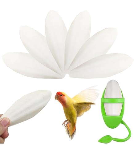 4 Ossi Di Seppia Naturali Per Uccelli - 11-13cm, Ricchi Di Calcio, Per Pappagalli, Canarini, Tartarughe - Foto 9