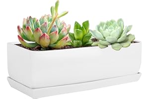 Vencer 14 Inch Rectangular Modern Minimalist Ceramic Succulent Planter Pot - Window Box with Saucer,Office Desktop Potted Stand,White,VF-0173W