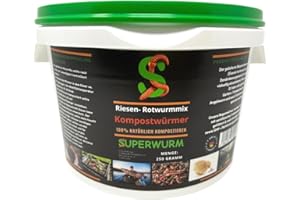 SUPERWURM Kompostwurm-Mix 250g (ca.300 St.) - Riesen-Rotwurmmix mit lebenden Kompostwürmern I Kompostwürmer für eine schnelle & nachhaltige Kompostierung im Wurmkomposter Schnellkomposter und Thermokomposter