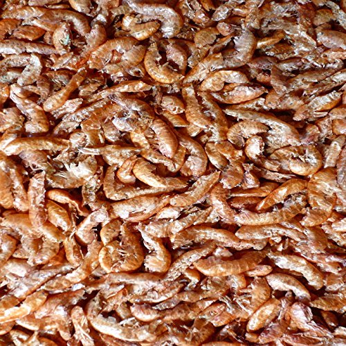 Gammarus (Bachflohkrebse) pondovit – Premiumsnack 5000 ml – Koi Leckerbissen, Koifutter - 3