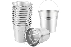 TOYANDONA 12 PIÈCES Sûr Seau en Fer Blanc Glaçage Français Frites Tin Seaux Seaux en Métal Seau À Glace D' étain Galvanisé Récipient en Fer- Blanc De Fer Hanging Pots De Fleurs
