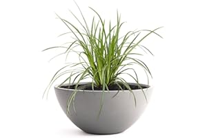 ‎PFLANZWERK Pflanzwerk® Pflanzkübel Pflanzschale Bowl Ø 36cm Grau *Frostbeständige Blumenschale* *Premiumqualität* *Lotus-Effekt Imprägnierung*