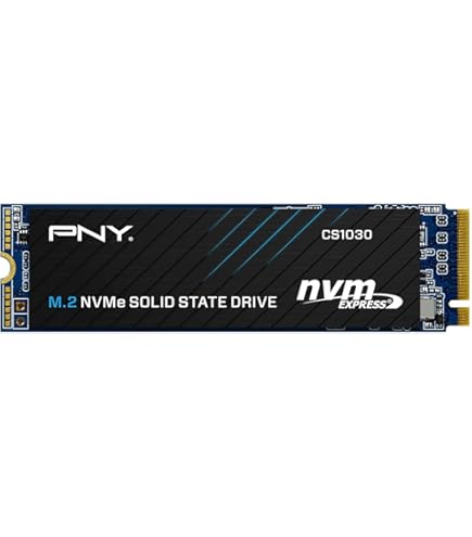 Western Digital WD PC SN720 NVMe SSD - Disque SSD - 256 Go