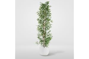 BLAINE Planta Artificial con Productos Naturales, Elaborados con los Mejores Materiales, Ideal para Decoración de hogar, Planta, Árbol Planta Artificial (150cm, Bambú Oriental)