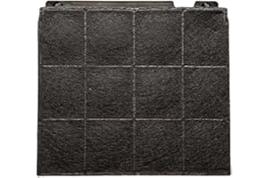 DL SERVICE Filtro para campanas extractoras Elica | Filtro de carbón compatible con campanas Elica | Pieza de repuesto para campanas extractoras Medidas 22,5 x 21 x 3 cm