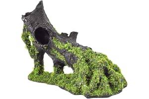 OMEM Architettura paesaggistica per acquari, Simulazione di Muschio poroso, terrario in Legno, Decorazione Acquario