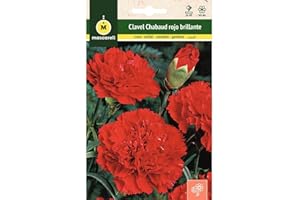 M MASCARELL SEMILLAS DESDE 1920 Mascarell Semillas, CLAVEL CHABAUD GIGANTE ROJO BRILLANTE, Semillas Flores Exterior para Decoración, 0,4 Gramos